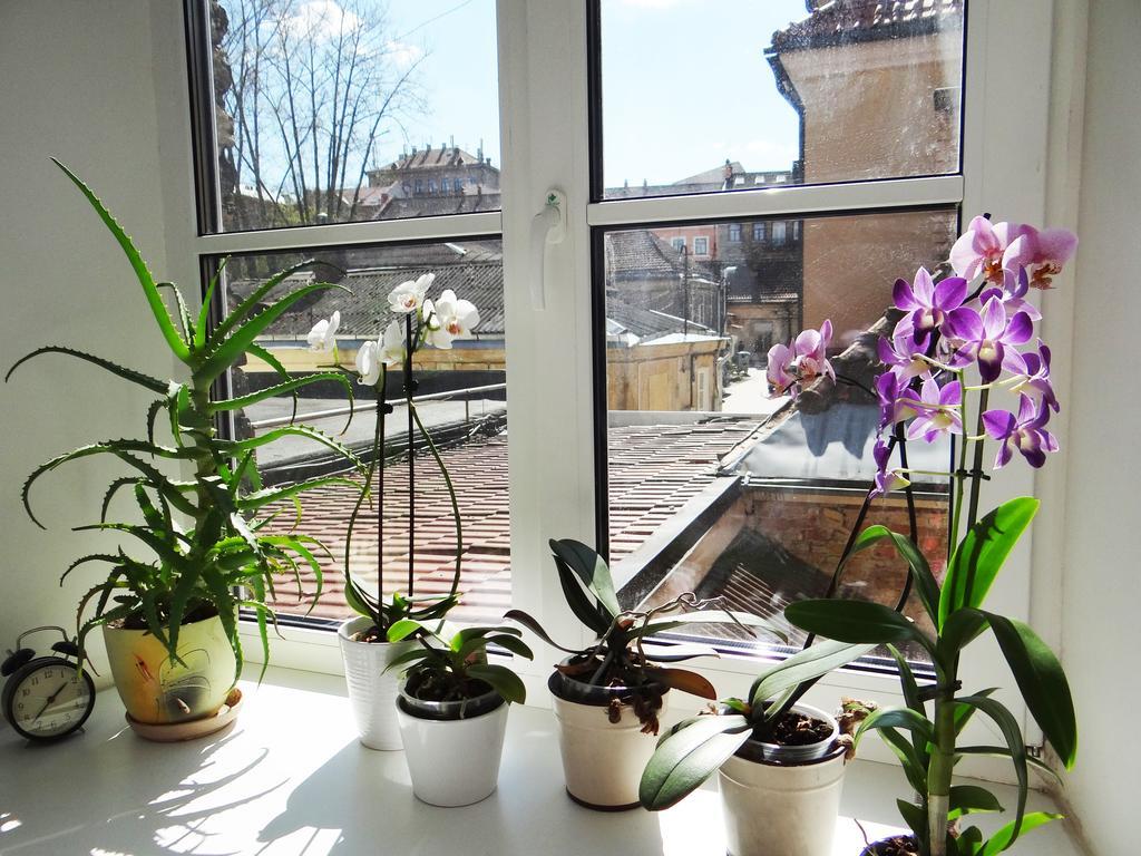 Provence Home Vilnius Luaran gambar